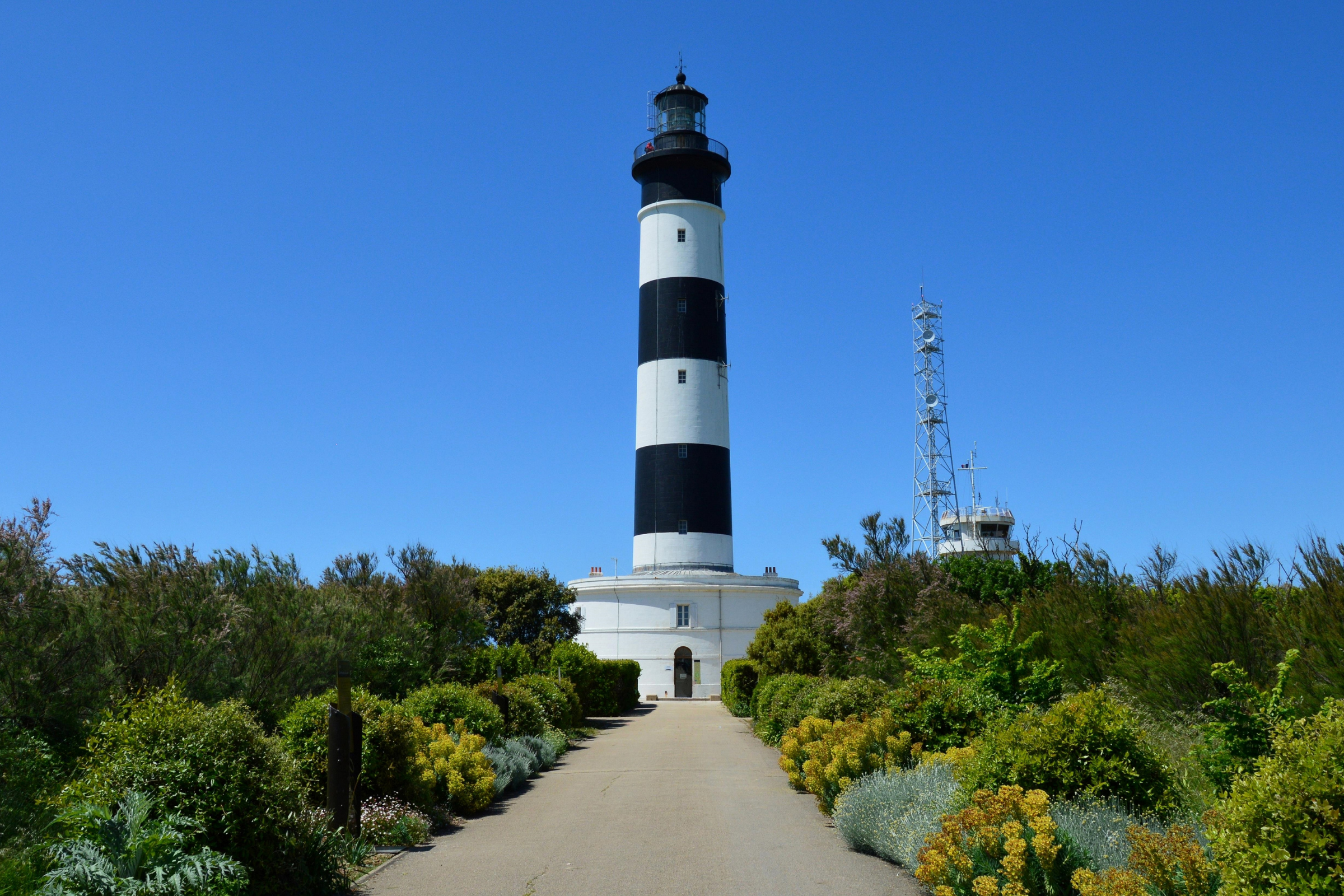 Pointe_Denis[1].webp